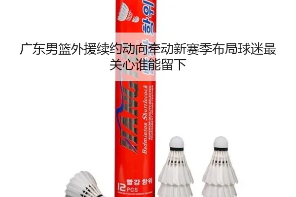广东男篮外援续约动向牵动新赛季布局球迷最关心谁能留下